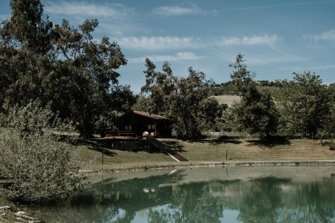 Bed and Breakfast L'Anfora Country Club Basciano Экстерьер фото