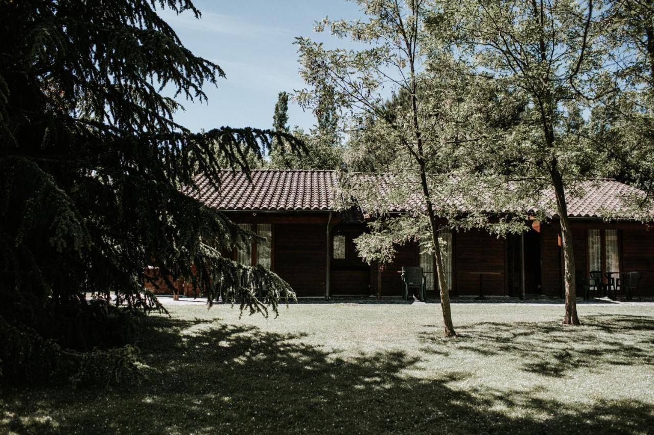 Bed and Breakfast L'Anfora Country Club Basciano Экстерьер фото