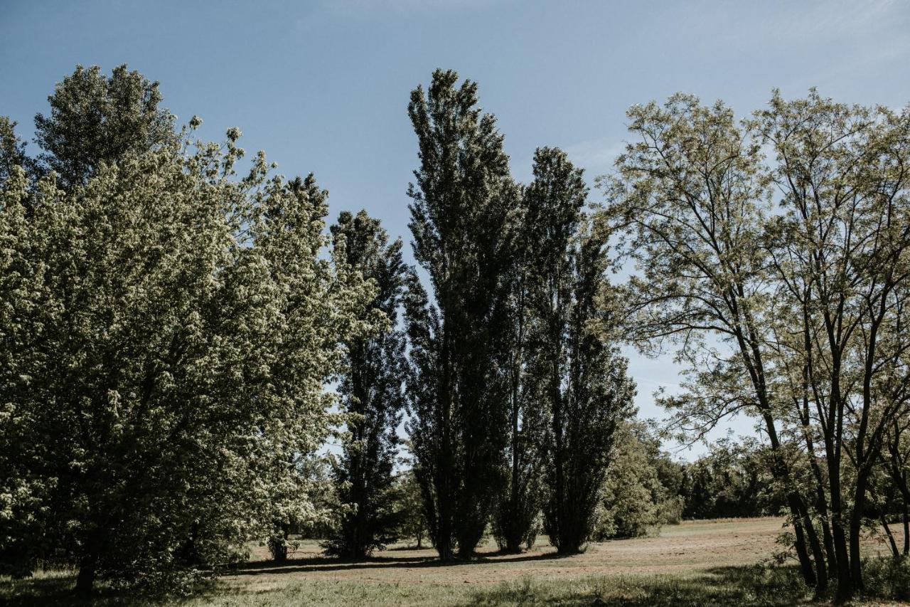 Bed and Breakfast L'Anfora Country Club Basciano Экстерьер фото